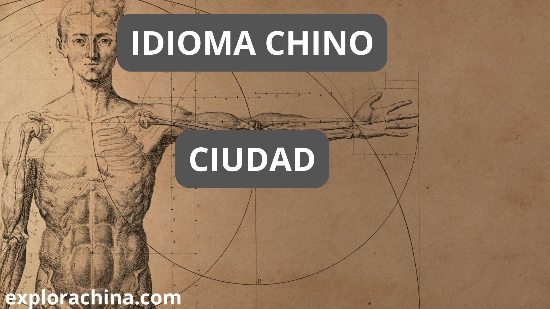 cuerpo humano en chino