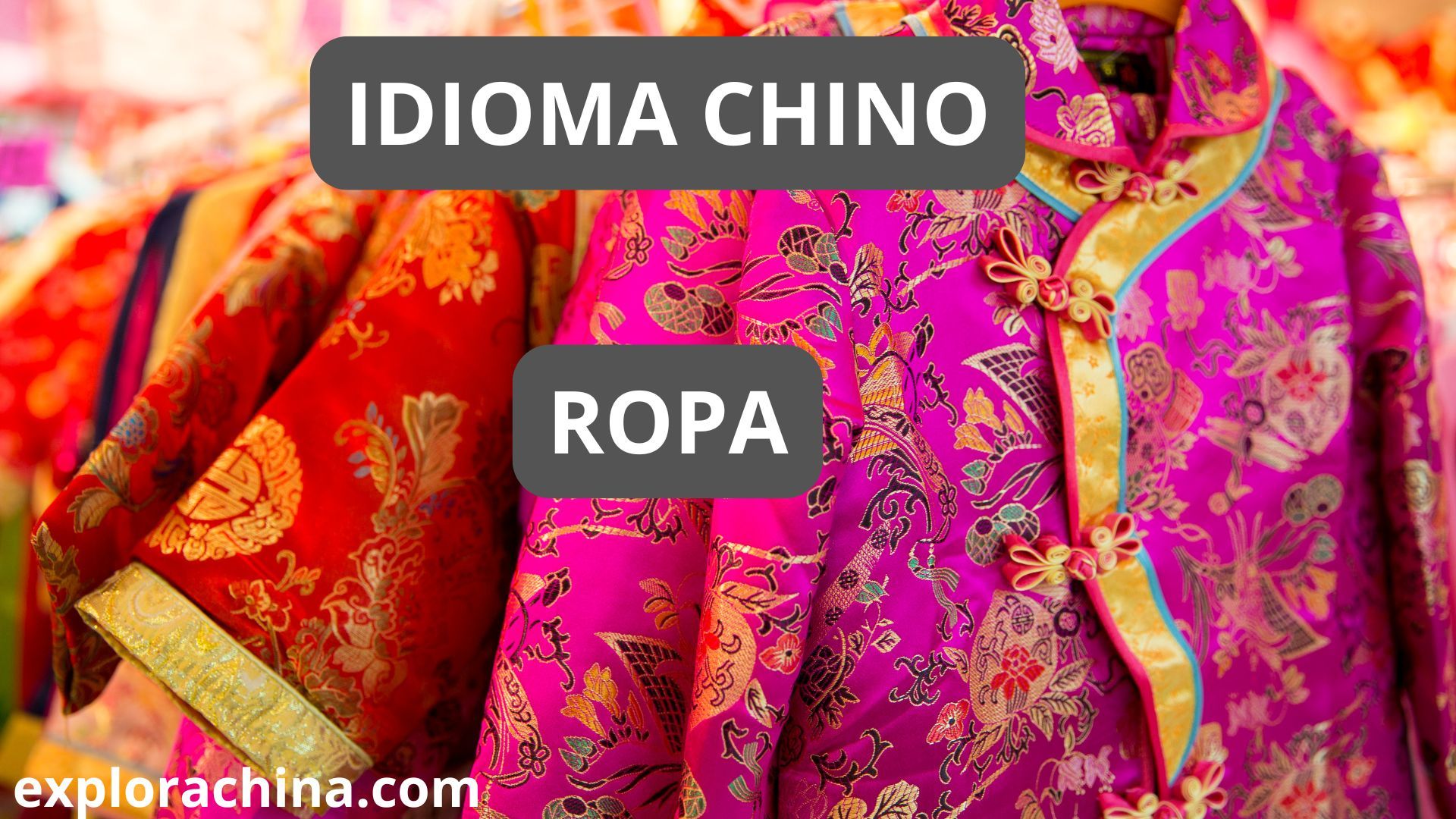 VESTIMENTA EN IDIOMA CHINO